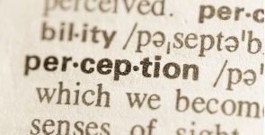 Wörterbucheintrag Perception